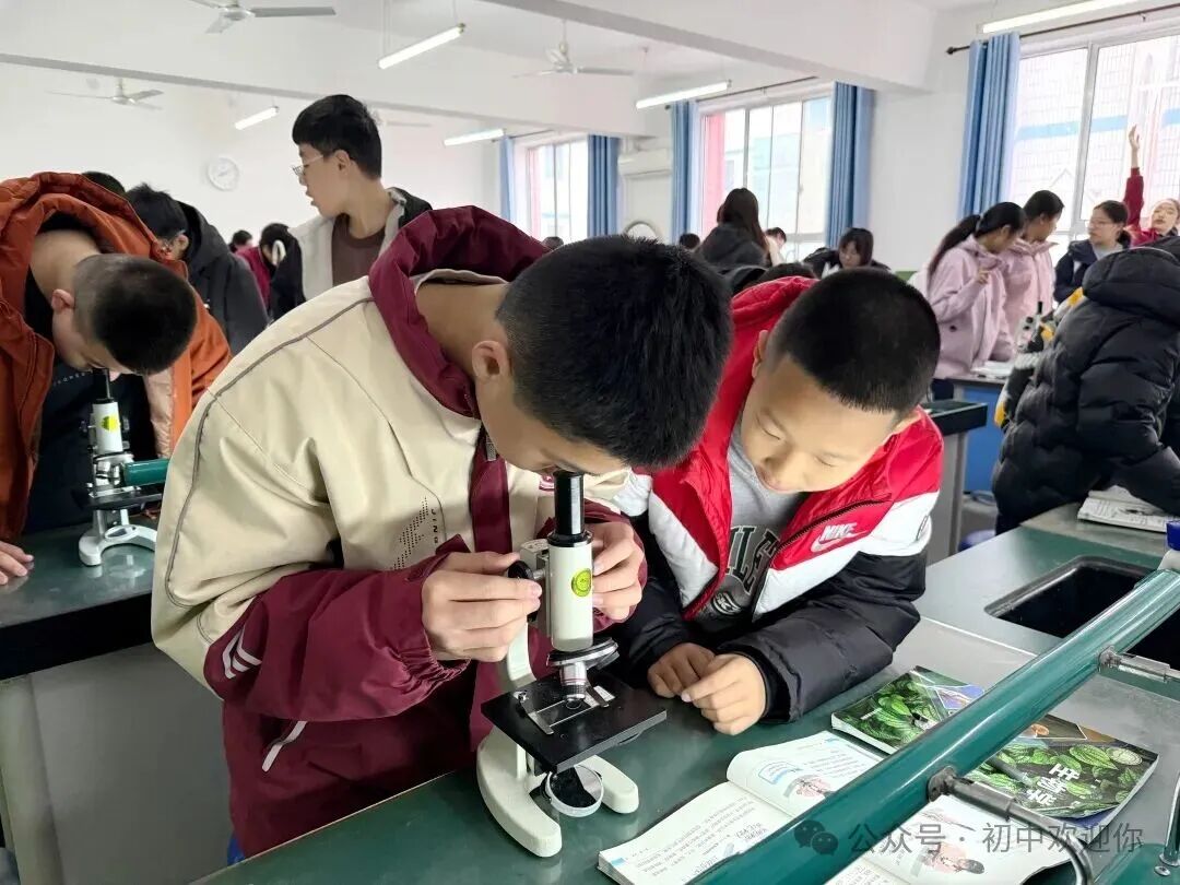 让知识跳出课本，用实践激发潜能 | 私立一中初中部日常实验课堂