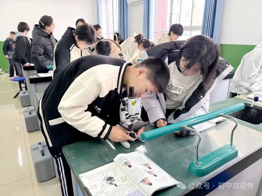 让知识跳出课本，用实践激发潜能 | 私立一中初中部日常实验课堂