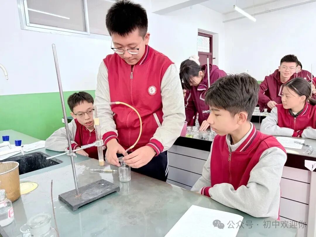 让知识跳出课本，用实践激发潜能 | 私立一中初中部日常实验课堂