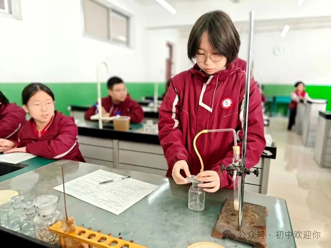 让知识跳出课本，用实践激发潜能 | 私立一中初中部日常实验课堂