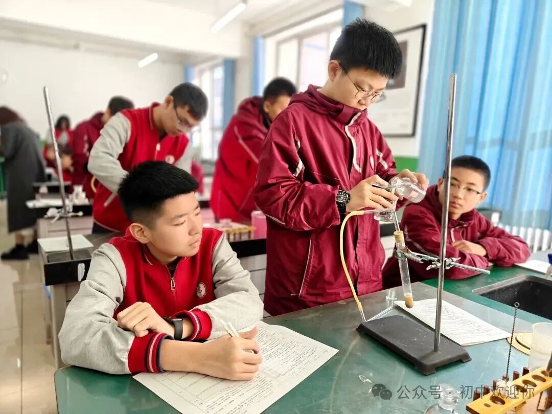 让知识跳出课本，用实践激发潜能 | 私立一中初中部日常实验课堂