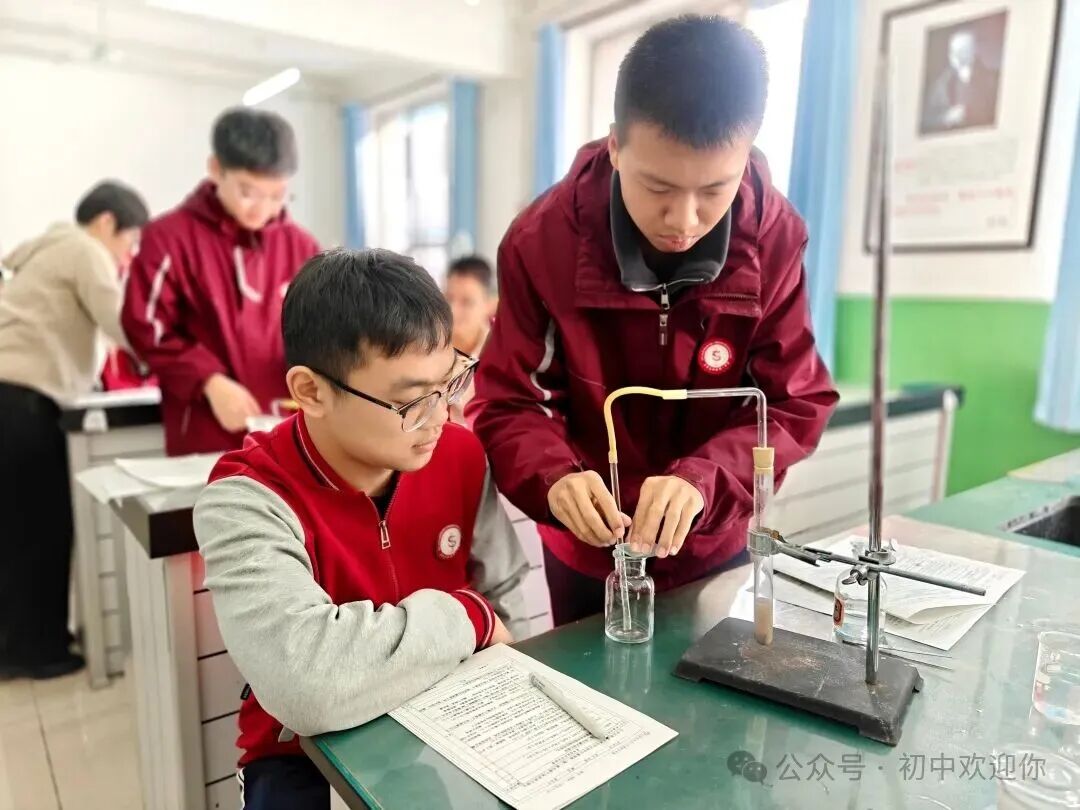 让知识跳出课本，用实践激发潜能 | 私立一中初中部日常实验课堂