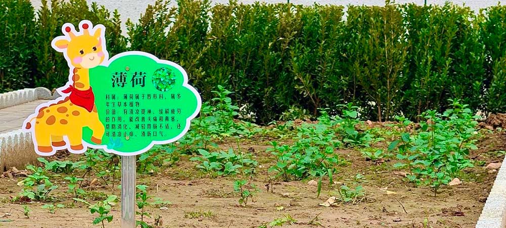 【立小•美育】藏在校园里的美好|解锁私立一中附属小学的景观密码