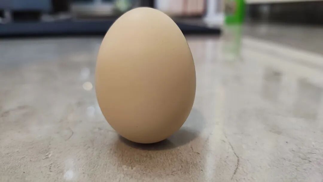 【立小•课程】“春”启新程，万物向“生”｜24节气项目式学习之立春