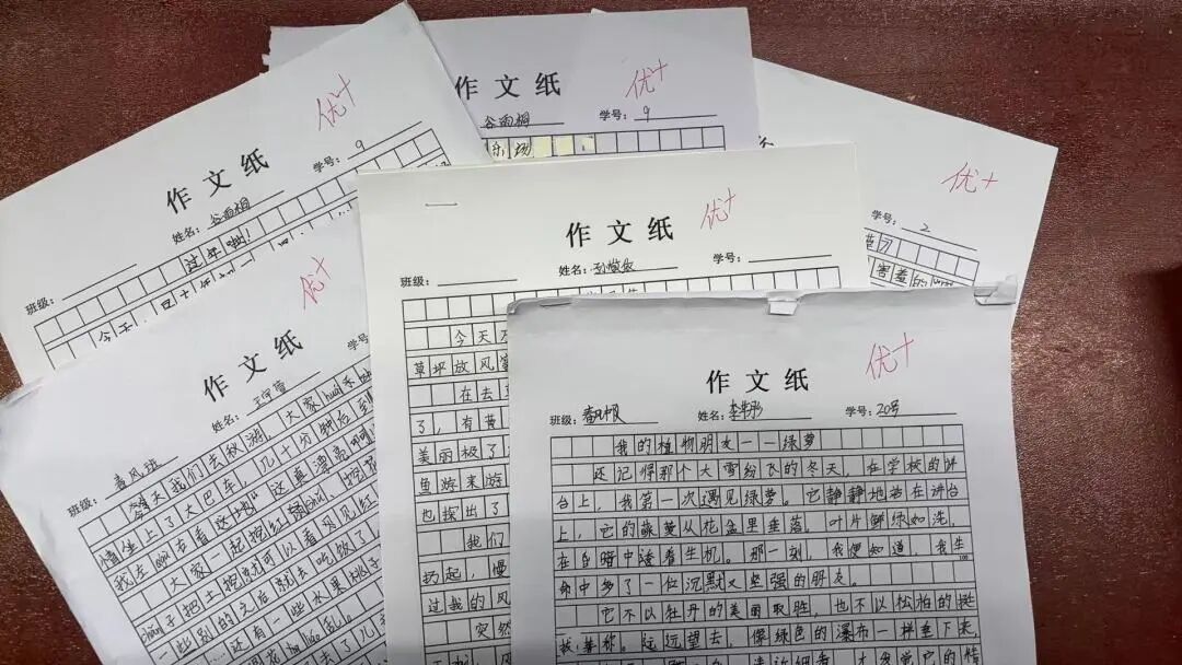 【立小 • 教学】缤纷假期 绽放成长｜立小寒假实践特色作业风采展