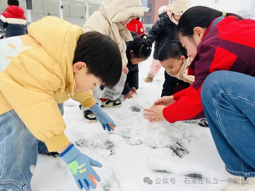 【开学一周纪实】时光恰宜 萌娃启航