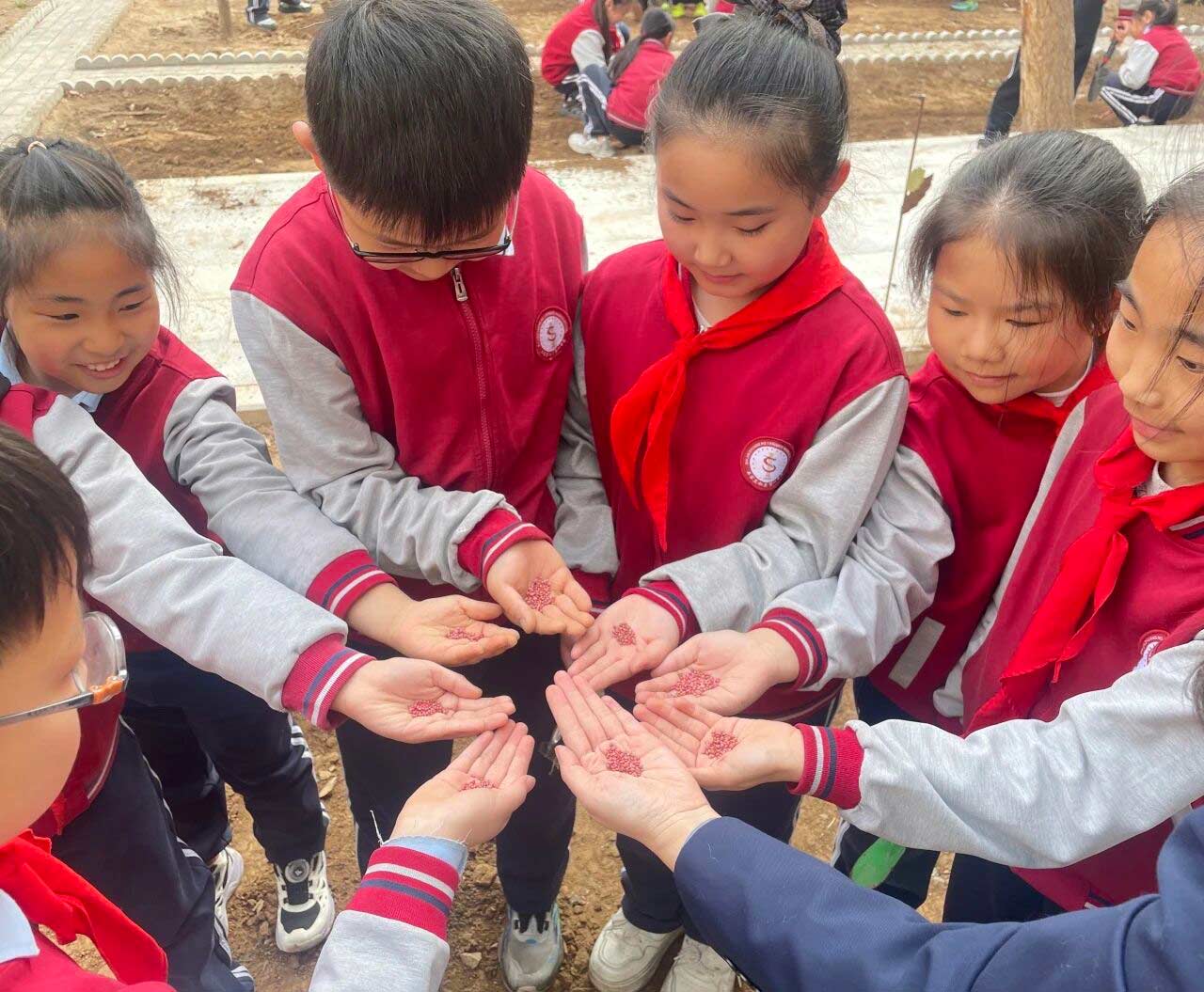 【立小 • 课程】不负春光 为绿充“植”｜立小种植园正式开园啦~