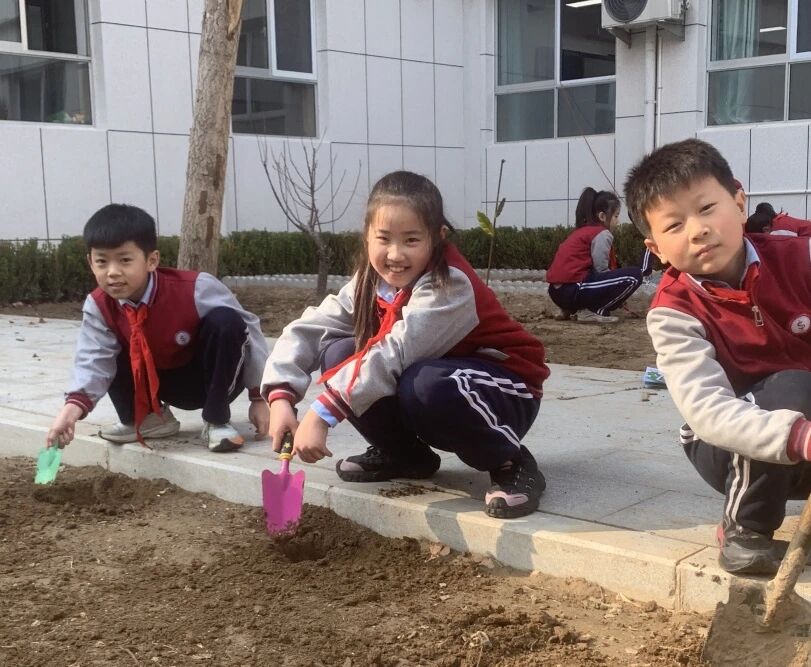 【立小 • 课程】不负春光 为绿充“植”｜立小种植园正式开园啦~