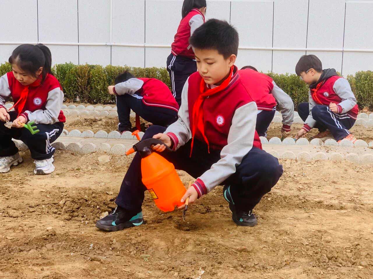 【立小 • 课程】不负春光 为绿充“植”｜立小种植园正式开园啦~