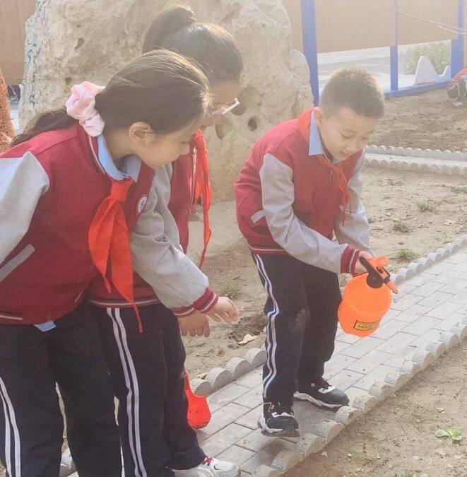 【立小 • 课程】不负春光 为绿充“植”｜立小种植园正式开园啦~