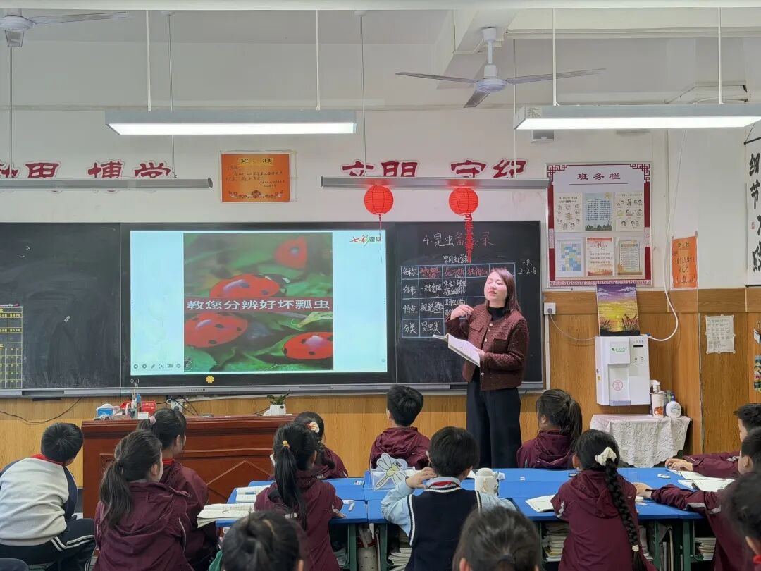 【立小•教学】推门听课“零距离” 解锁课堂新活力|春季开学推门课纪实