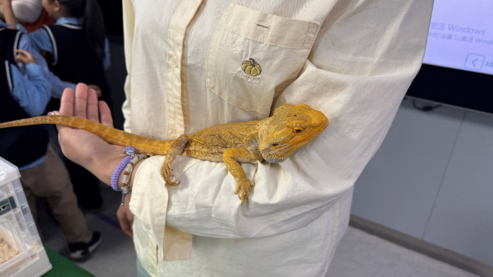 家校共育 | 家长进课堂，别样“师”情伴成长