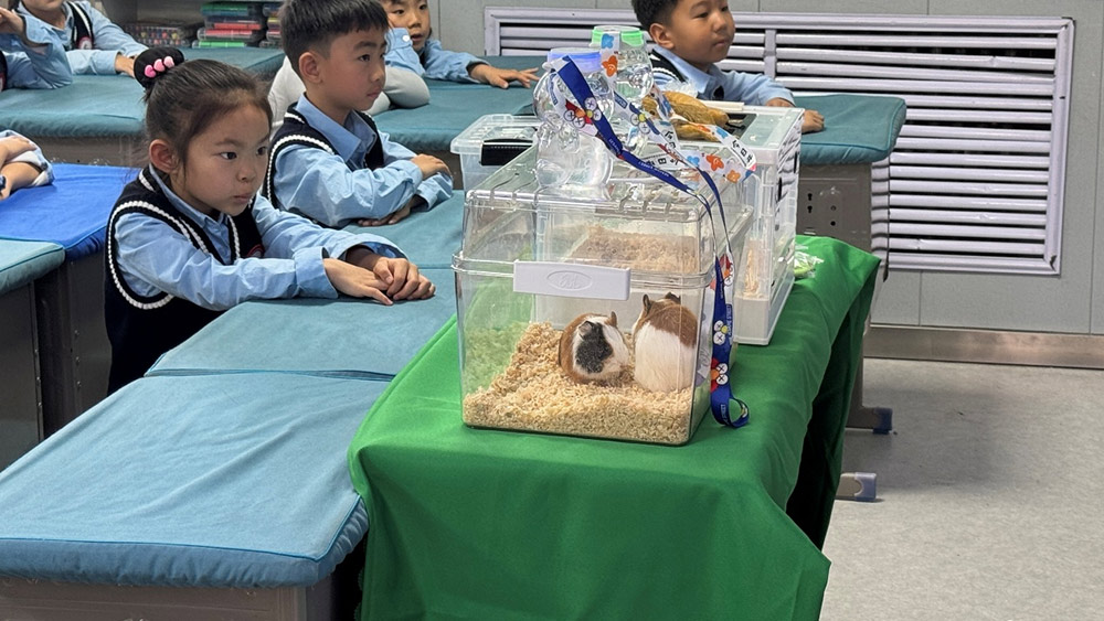 家校共育 | 家长进课堂，别样“师”情伴成长