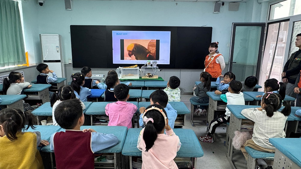 家校共育 | 家长进课堂，别样“师”情伴成长