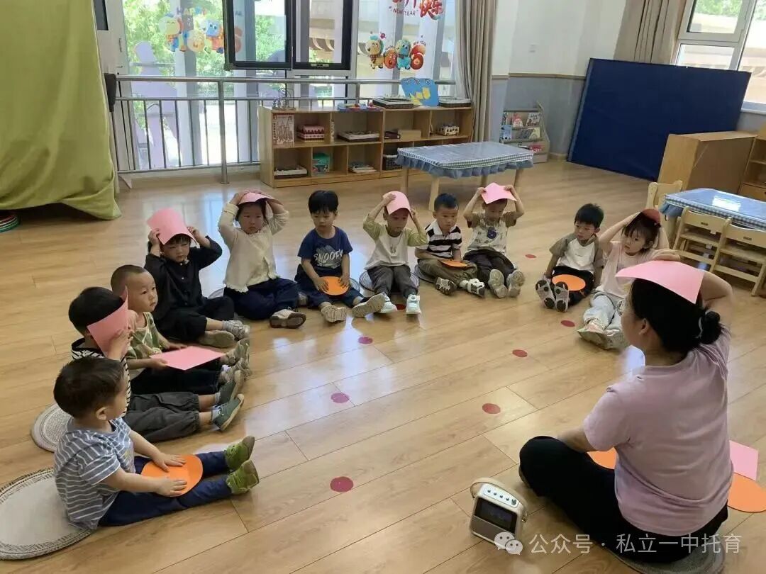 【宝龙托育】2-3岁为什么上托育