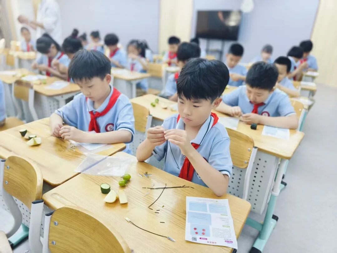 【立小•教学节】教学盛会绽芳华 以评提质育童心｜立小第四届教学节暨期中阶段课业展评活动纪实