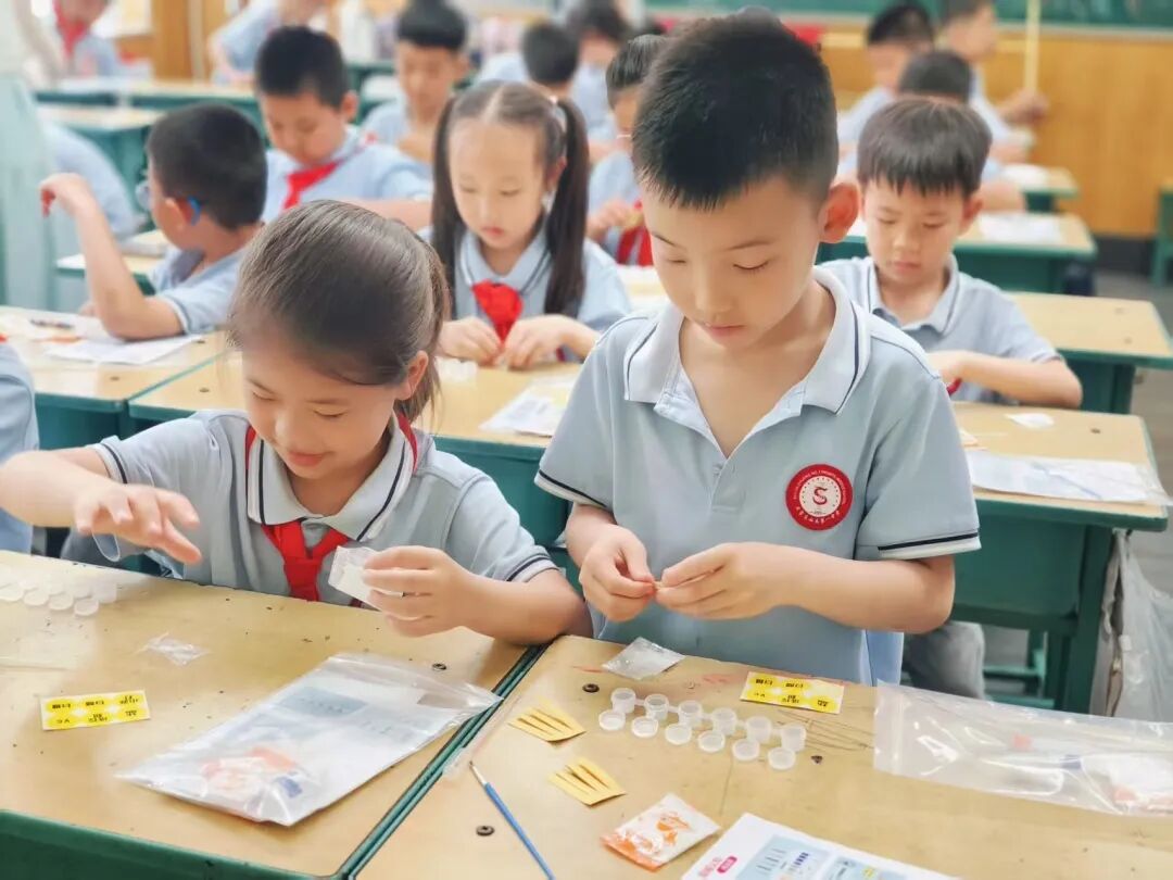 【立小•教学节】教学盛会绽芳华 以评提质育童心｜立小第四届教学节暨期中阶段课业展评活动纪实