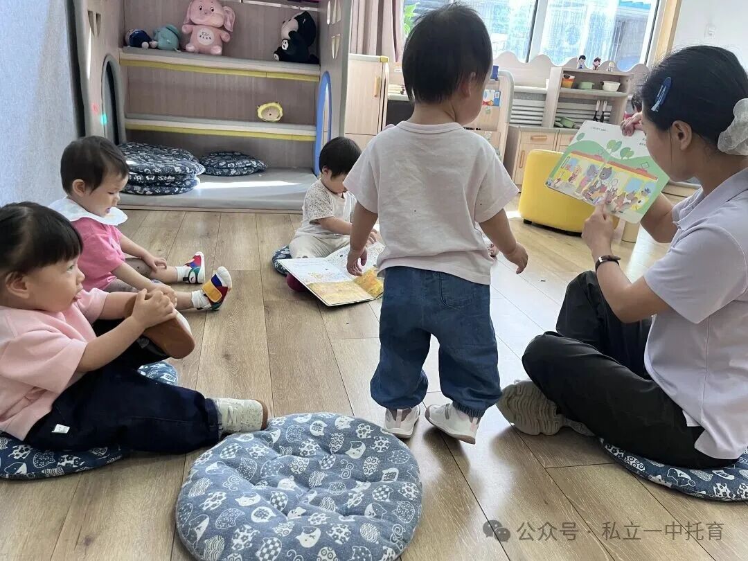 【宝龙托育】循序渐进的成长进阶，见证宝贝内在力量